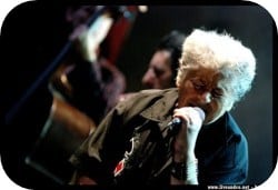 Photos de Little Bob en concert live