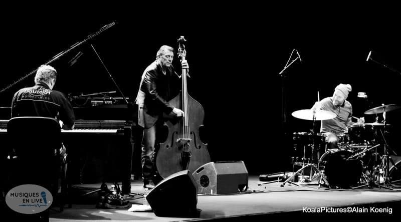 The-Dave-king-trio_005