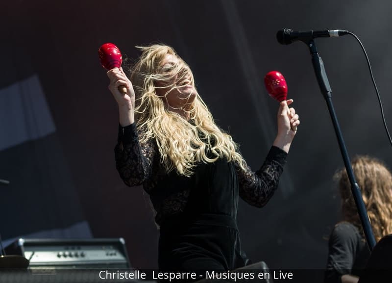 Download_Festival_2017_Christelle_Lesparre_19