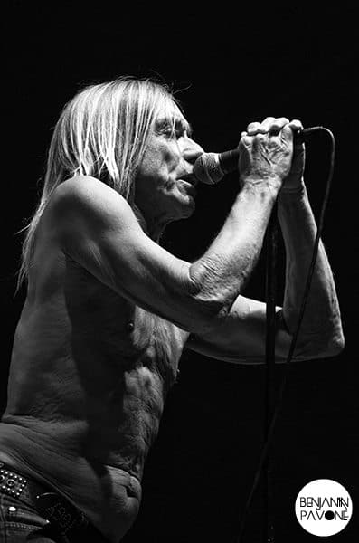 Iggy Pop and the Stooges