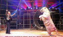 LE CIRQUE AMAR EN TOURNÉE « SUBLIME » – 6 > 12 JUILLET 2015 – PLACE DES QUINCONCES – BORDEAUX LE CIRQUE AMAR EN TOURNÉE « SUBLIME » – 6 > 12 JUILLET 2015 – PLACE DES QUINCONCES – BORDEAUX