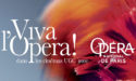 LE CORSAIRE – OPERA NATIONAL DE VIENNE – JEUDI 19 AVRIL 2018 – UGC CINE CITE BORDEAUX LE CORSAIRE – OPERA NATIONAL DE VIENNE – JEUDI 19 AVRIL 2018 – UGC CINE CITE BORDEAUX