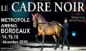 LE CADRE NOIR DE SAUMUR – VENDREDI 14 > DIMANCHE 16 DÉCEMBRE 2018 – ARKÉA ARENA – FLOIRAC LE CADRE NOIR DE SAUMUR – VENDREDI 14 > DIMANCHE 16 DÉCEMBRE 2018 – ARKÉA ARENA – FLOIRAC